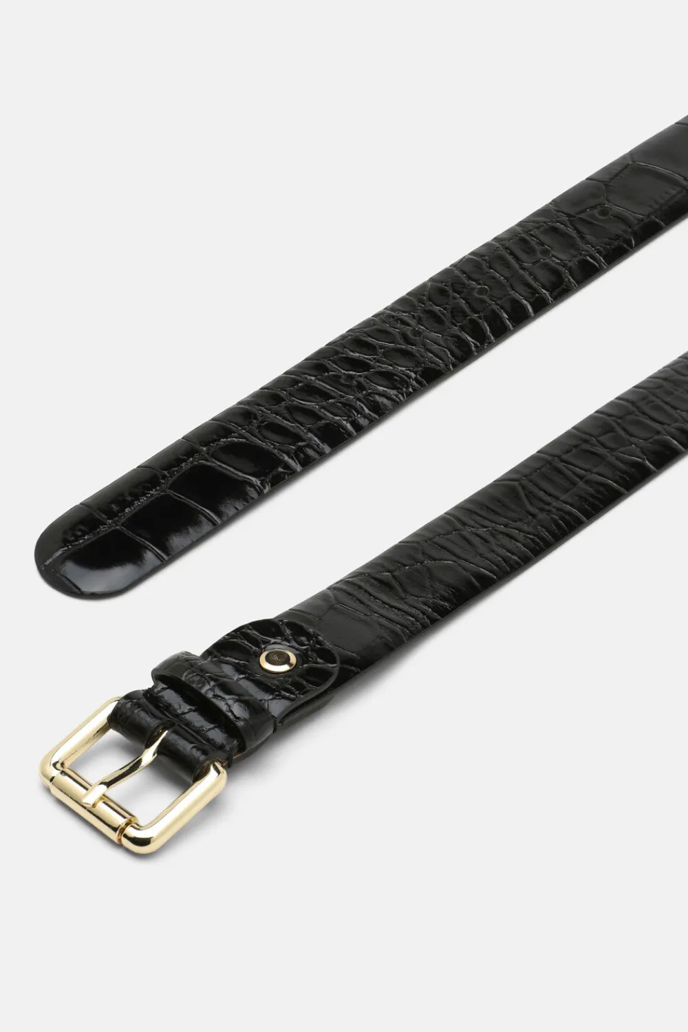Dogale|Luisa Spagnoli Discount